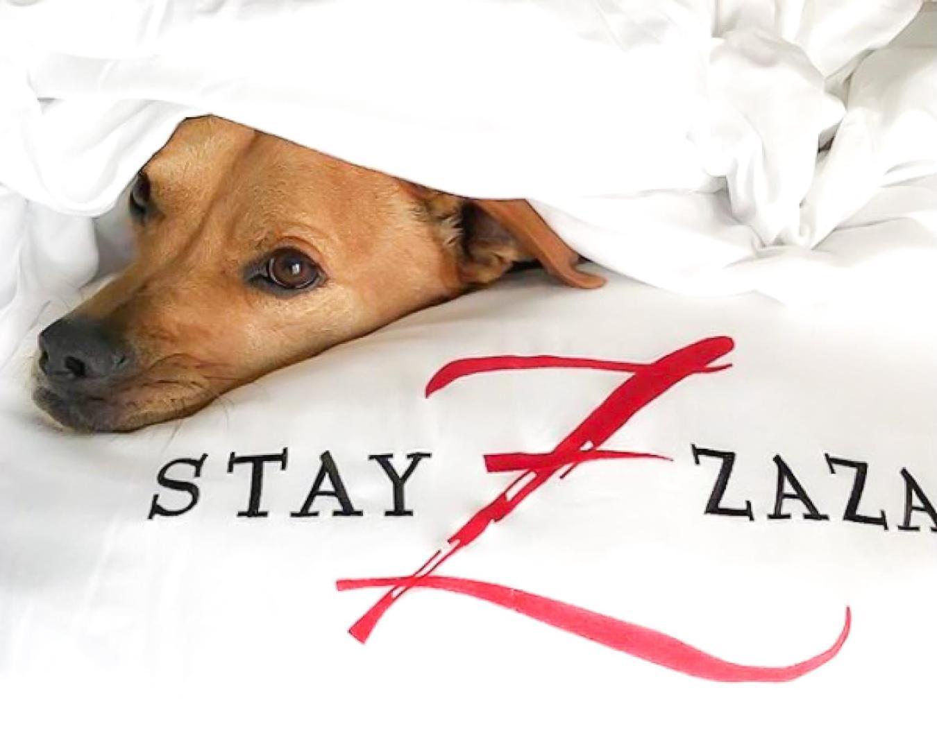 Hotel Zaza Austin Luaran gambar